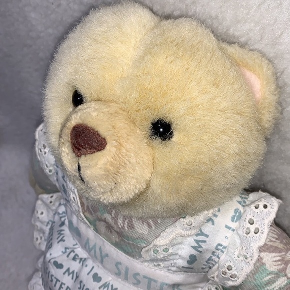 Avon teddy bear 9" plush wearing apron says I LOVE MY SISTER 1996 - Picture 3 of 9